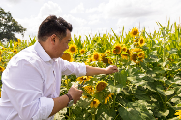 Local MP Alan Mak visits Sam's Sunflowers summer attraction on Hayling Island
